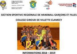 SECTION SPORTIVE REGIONALE DE HANDBALL GAR&Ccedil;ONS ET FILLES COLLEGE GIROUD DE VILLETTE CLAMECY - INFORMATIONS 2018 2019 - CSFD Handball