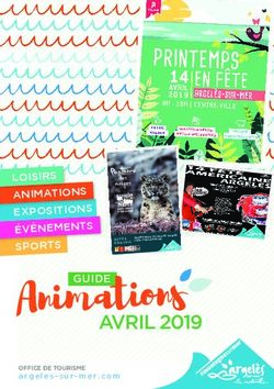 Animations - Argeles-sur-Mer
