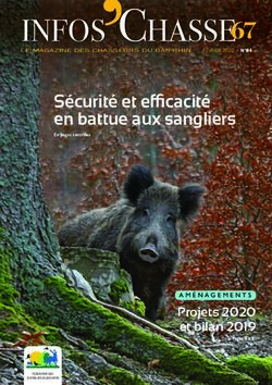 INFOS chaSSe S&eacute;curit&eacute; et efficacit&eacute; en battue aux sangliers - Projets 2020 et bilan 2019