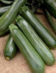 2019|GAMME COURGETTES - AWS