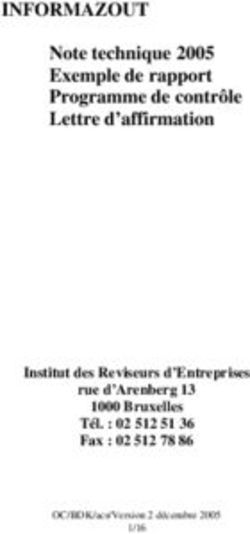 INFORMAZOUT Note technique 2005 Exemple de rapport Programme de contrôle Lettre d'affirmation - Institut des Reviseurs d'Entreprises rue ...