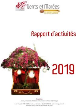 2019 Rapport d'activités - Vents et Marées