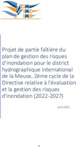Projet de partie faîtière du plan de gestion des risques d'inondation pour le district hydrographique international de la Meuse, 2ème cycle de la ...