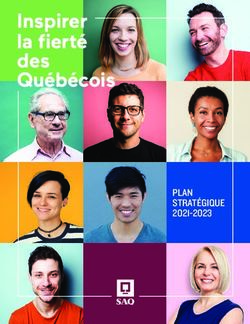 Inspirer la fiert&eacute; des Qu&eacute;b&eacute;cois - PLAN STRAT&Eacute;GIQUE 2021-2023 - NET