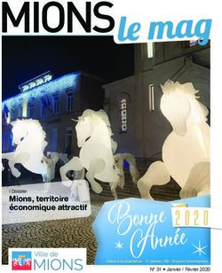 MIONS - Mions, territoire &eacute;conomique attractif I Dossier - mions.fr
