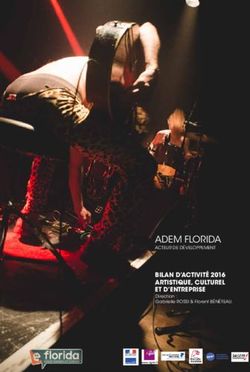 ADEM FLORIDA BILAN D'ACTIVITÉ 2016 ARTISTIQUE, CULTUREL ET D'ENTREPRISE - Direction : Gabrielle ROSSI & Florent BÉNÉTEAU.