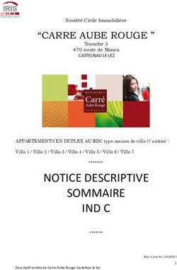 NOTICE DESCRIPTIVE SOMMAIRE IND C - "CARRE AUBE ROUGE "