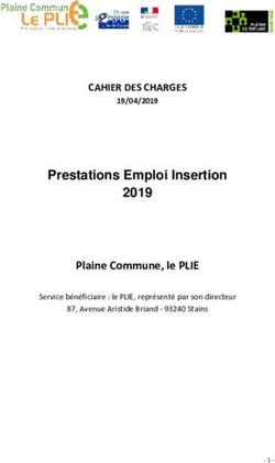 Prestations Emploi Insertion 2019 - CAHIER DES CHARGES - Plaine Commune, le PLIE - Plaine ...