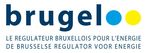 COMMISSION DE REGULATION DE L'ENERGIE EN REGION DE BRUXELLES-CAPITALE - Rapport-Avis BRUGEL
