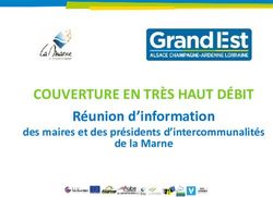 COUVERTURE EN TRÈS HAUT DÉBIT - Réunion d'information des maires et des présidents d'intercommunalités de la Marne - Région Grand Est