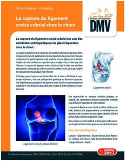 La rupture du ligament croisé crânial chez le chien - Centre ...