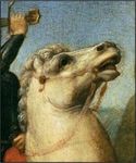 LES MUTILATIONS DES ANIMAUX DOMESTIQUES EN FRANCE
