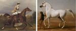 LES MUTILATIONS DES ANIMAUX DOMESTIQUES EN FRANCE
