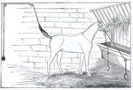 LES MUTILATIONS DES ANIMAUX DOMESTIQUES EN FRANCE