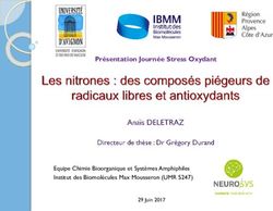 Pr&eacute;sentation Journ&eacute;e Stress Oxydant - Equipe Chimie Bioorganique et Syst&egrave;mes Amphiphiles Institut des Biomol&eacute;cules Max Mousseron (UMR 5247)