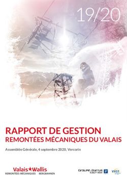 19/20 RAPPORT DE GESTION REMONTÉES MÉCANIQUES DU VALAIS - Walliser Bergbahnen