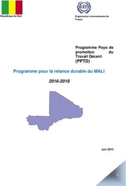 (PPTD) Programme Pays de promotion du Travail Décent - Programme pour la relance durable du MALI - ILO