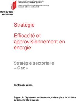 Stratégie Efficacité et approvisionnement en énergie - Canton du Valais