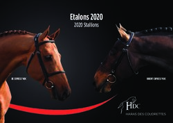 Etalons 2020 2020 Stallions - BE EXPRESS*HDC - Le Haras des Coudrettes
