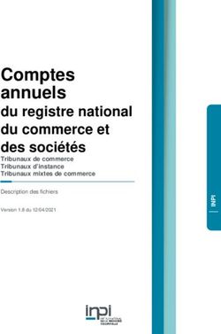 Comptes annuels du registre national du commerce et des sociétés - Tribunaux de commerce Tribunaux d'instance Tribunaux mixtes de commerce - INPI