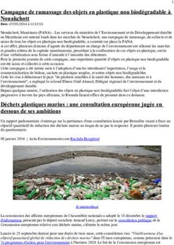 Campagne de ramassage des objets en plastique non biod&eacute;gradable &agrave; Nouakchott