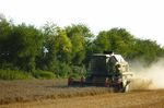 BILAN DE L'&Eacute;TUDE PEGASE SUR LA PERDRIX GRISE
