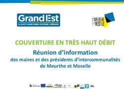 COUVERTURE EN TRÈS HAUT DÉBIT - Réunion d'information des maires et des présidents d'intercommunalités de Meurthe et Moselle - Région Grand Est