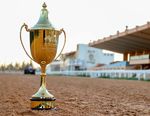 IMG - FOR RACING IN LIBYA THE FUTURE IS BRIGHT - AFAC France