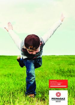 RAPPORT DÉVELOPPEMENT DURABLE 2018 - Act4nature