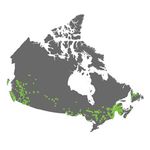 L'activit&eacute; humaine et l'environnement : les for&ecirc;ts du Canada - L'activit&eacute; humaine et l'environnement 2017