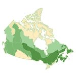 L'activit&eacute; humaine et l'environnement : les for&ecirc;ts du Canada - L'activit&eacute; humaine et l'environnement 2017