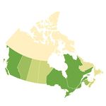 L'activit&eacute; humaine et l'environnement : les for&ecirc;ts du Canada - L'activit&eacute; humaine et l'environnement 2017