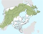 L'activit&eacute; humaine et l'environnement : les for&ecirc;ts du Canada - L'activit&eacute; humaine et l'environnement 2017