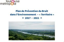 Plan de Prévention du Bruit dans l'Environnement " Territoire " 2017 2021 - Toulouse ...