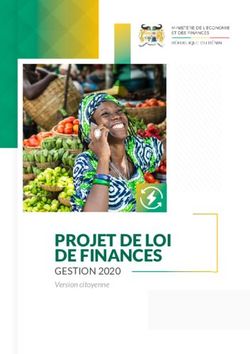 PROJET DE LOI DE FINANCES - GESTION 2020 - Direction Générale du Budget