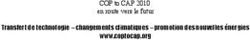 Transfert de technologie - changements climatiques - promotion des nouvelles &eacute;nergies www.coptocap.org - COP to CAP 2010 en route vers le futur