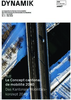 DYNAMIK - Le Concept cantonal de mobilit&eacute; 2040 Das Kantonale Mobilit&auml;ts-konzept 2040 - Vs.ch