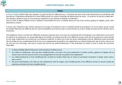 PLAN STRATEGIQUE 2021-2024 - Vision - Matilda LUX