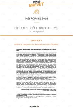 HISTOIRE, G&Eacute;OGRAPHIE, EMC - M&Eacute;TROPOLE 2018 EXERCICE 1 - Brevet