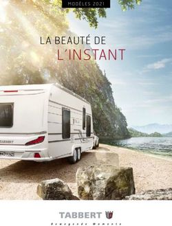 L'INSTANT LA BEAUT&Eacute; DE - MOD&Egrave;LES 2021 - Equipe Caravanes