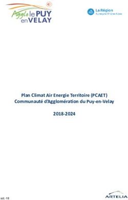 Plan Climat Air Energie Territoire (PCAET) Communauté d'Agglomération du Puy-en-Velay 2018-2024