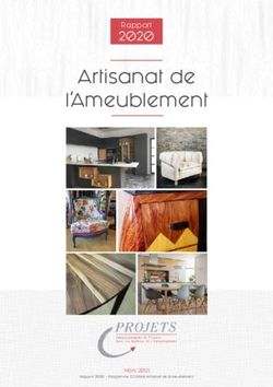 Artisanat de l'Ameublement - 2020 Rapport - Services Unama
