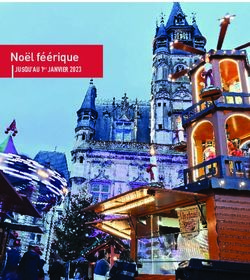 PICANTIN Noël féérique - IJUSQU'AU 1er JANVIER 2023 - Compiègne