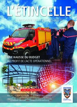 L'&Eacute;TINCELLE LE MAGAZINE DES AGENTS DU SDIS 91