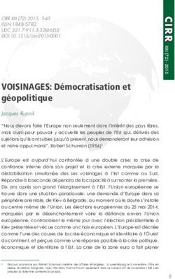VOISINAGES: Démocratisation et géopolitique - Jacques Rupnik - Sciendo
