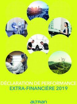 DÉCLARATION DE PERFORMANCE EXTRA-FINANCIÈRE 2019