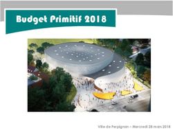 Budget Primitif 2018 - Ville de Perpignan - Mercredi 28 mars 2018 - Mairie de Perpignan