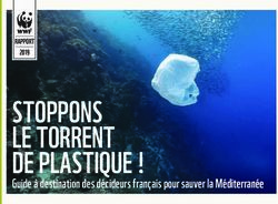 STOPPONS LE TORRENT DE PLASTIQUE ! - Guide à destination des décideurs français pour sauver la Méditerranée - WWF France