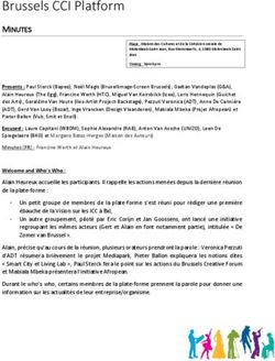 Brussels CCI Platform - MINUTES