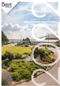 2RAPPORT SUR LES ORIENTATIONS BUDG&Eacute;TAIRES